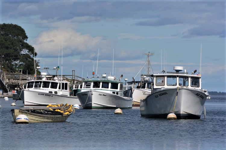 boats in harbor headon